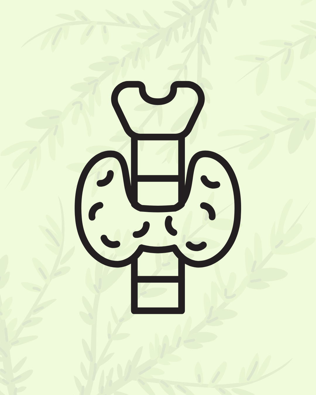 (Hashimoto's) Thyroid outline over nature sprigs
